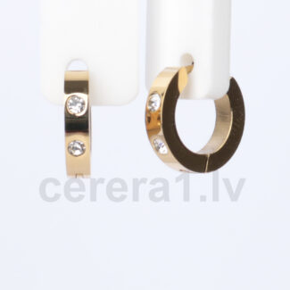 Auskari XUPING AZR2140