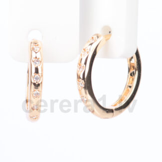 Auskari XUPING AZR2201